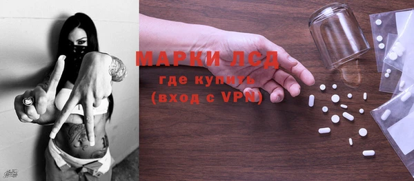 индика Тайга