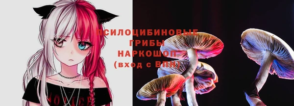 герыч Бородино