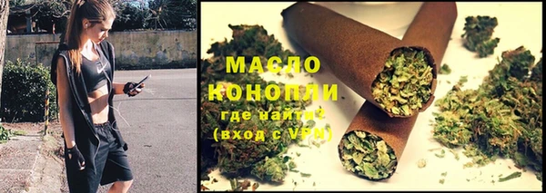 индика Тайга