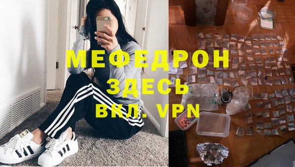 индика Тайга