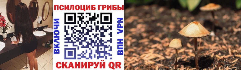 Псилоцибиновые грибы мицелий  где найти наркотики  blacksprut сайт  Жирновск 