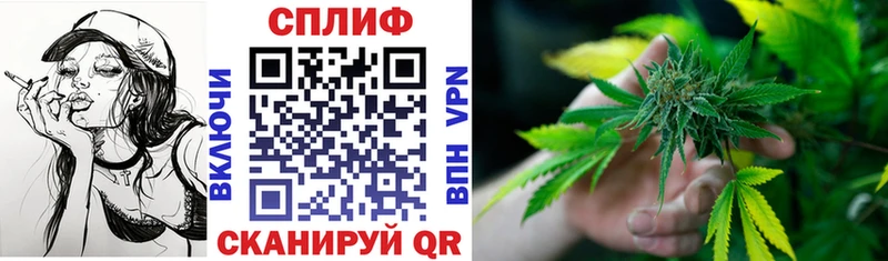 Бошки марихуана конопля  как найти   Жирновск 